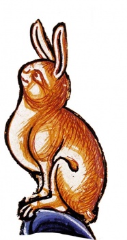 Bestiary rabbit