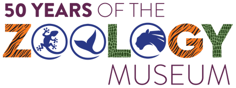 50 Years of the Zoology Museum logo