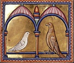 f26r_dove_hawk_detail