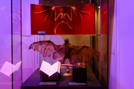 Fear and Fascination exhibition