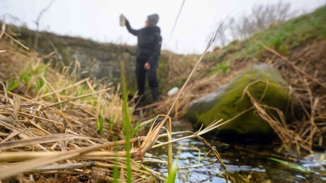 Researchers sampling a waterway (IGB/David Ausserhofer)