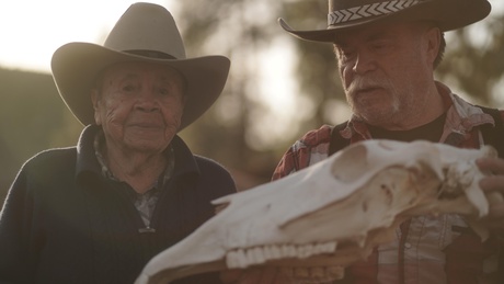 Two people holding a horse skull