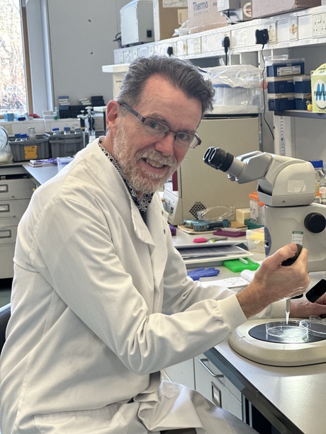 Professor Neil Vargesson