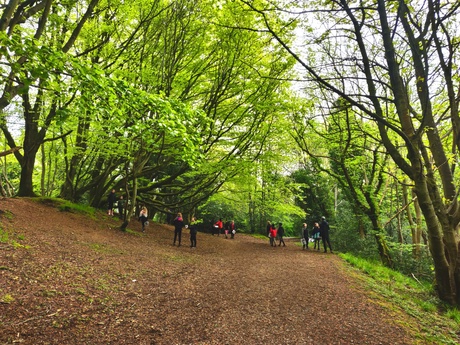 A handful of young people in a forest