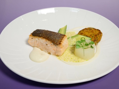 A plate of seared salmon with assorted vegetables and sauce