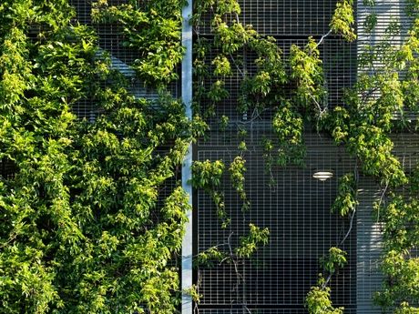 A skyscraper with foliage growing up the outside