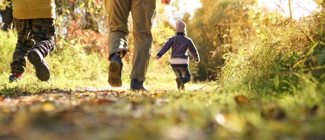 image shows the back of people, walking through a countryside setting
