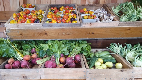 Produce on display at a sustainable market event