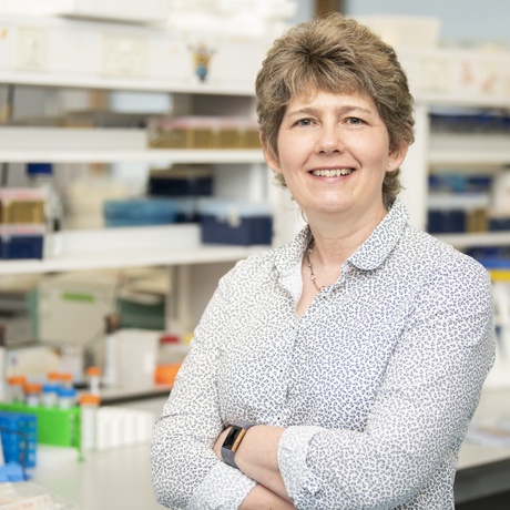 Professor Valerie Speirs