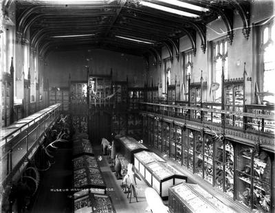 Zoology Museum Open Day 24 May 2019 - Aberdeen University