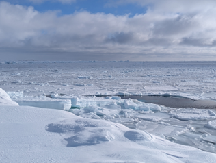 Ice in the Arctic