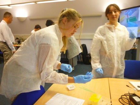 Two people in lab coats and gloves handling samples