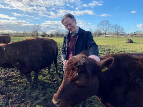 Professor David Clough petting a cow.