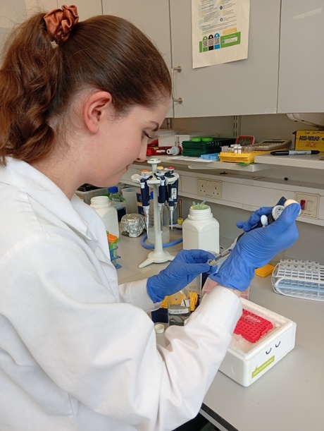 A person working in a lab