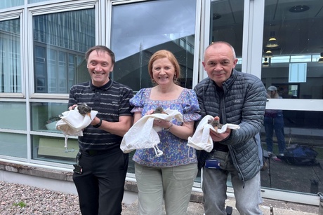 University staff holding three Oystercatcher chicks