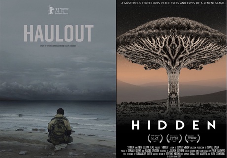 Hallout and Hidden movie posters