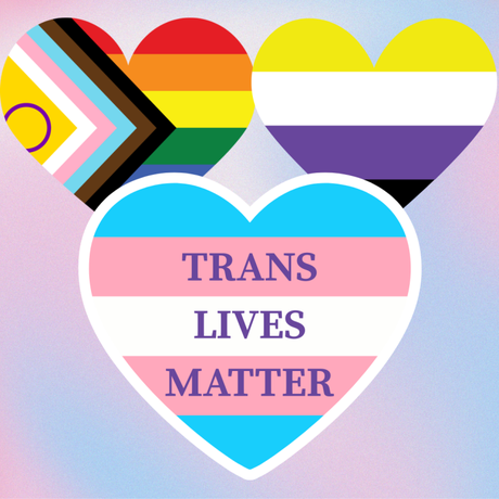 The trans, non-binary, and Pride progress flags shaped like hearts. Text over the trans flag reads 'trans lives matter'.