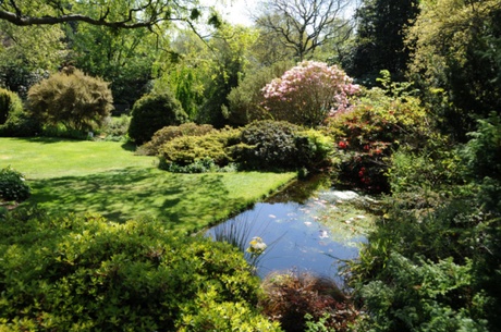A photograph of Cruickshank Gardens with lots of trees, plants and a pond on a sunny day