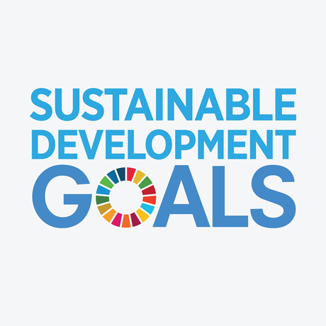 Text reads 'Sustainable Development Goals' but the 'o' is made up 17 individual parts that are in different colours