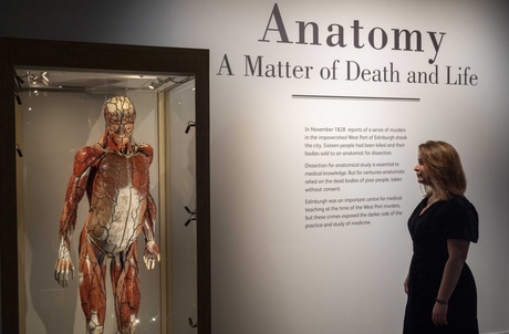 Viewer at the Anatomy Exhibition looking at the model of the human body.