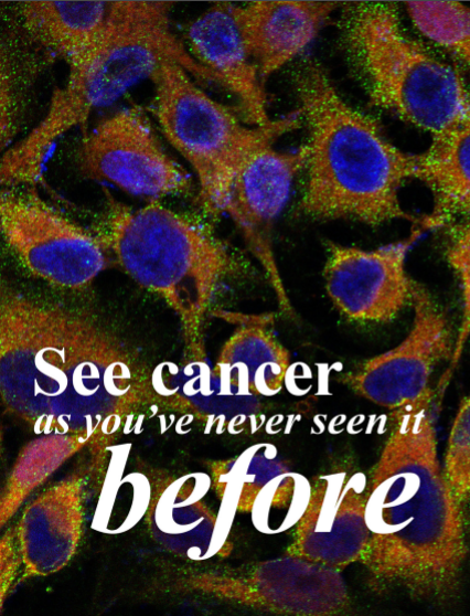 See Cancer