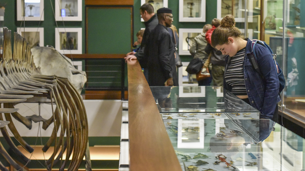 Image for useful fact about this Research Area