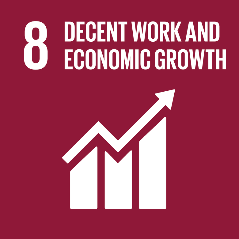 Decent work and Economic Growth logo