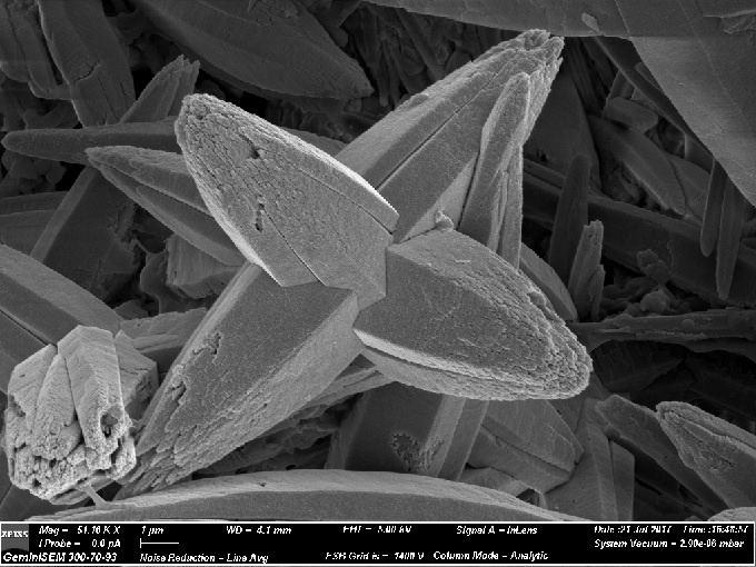 Aragonite crystals grown in an Artificial Hot-Spring. Scale bar is 1 µm.