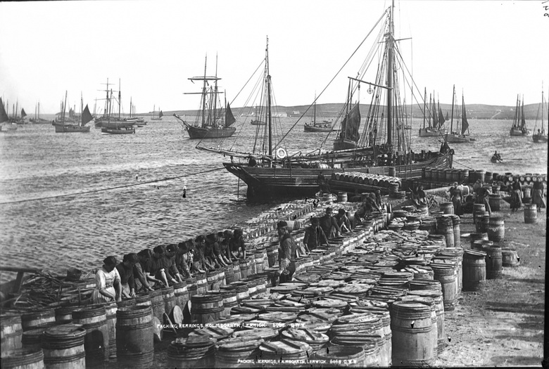 Black and white photograph of a harbour. Multiple ships are on the water and the harbour is lined with hundreds of barrels. Men and women can be seen in lines packing the barrels.