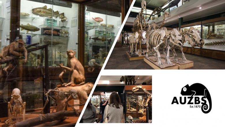 Zoology Museum, Extinction Tours