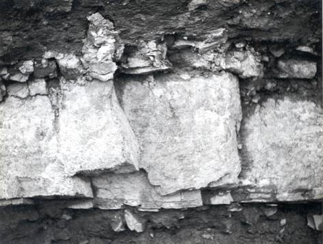 Massive tabular chert bed towards the top of the sequence interbedded with shales and sandy mudstones. Photograph taken during trenching in August 1963.