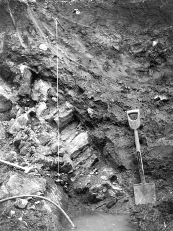 Massive tabular chert (center and left) interbedded with shales, sandy mudstones and muddy sandstones dipping steeply to the northeast. Photograph taken during trenching in August 1963.