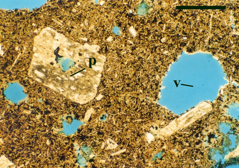 Thin section of andesite showing vesicles (v) and plagioclase phenocrysts (p). Most of the plagioclase and mafic minerals have been hydrothermally altered (scale bar = 1mm). Note: The blue colour in the vesicles is dyed epoxy resin to show void space in the thin section.