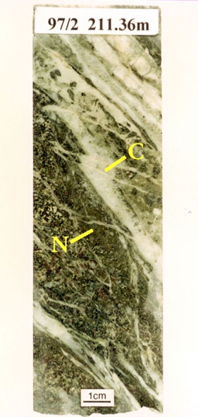 A sample of core from below the fault zone at Rhynie showing green-coloured heavily fractured and hydrothermally altered basic igneous rock, norite (N) with fractures mineralised and sealed by chert (C).