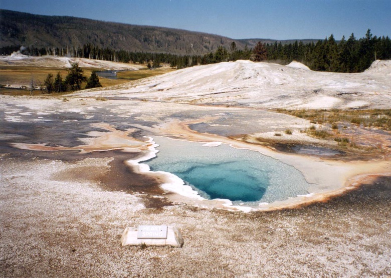 Heart Spring, near the Lion Geyser Complex (centre right background), Yellowstone National Park. This image shows the changes in colours, from pale yellow, to orange to brownish green, created by cyanobacteria in the overflow channels, marking the progressive drop in water temperature from the spring. Notice how close plants are growing to the spring on the right of the photograph. Sinter is being precipitated around the edge of the spring and over the water surface (the bright white ledges) and also on the overflow apron in the centre left of the image. The foreground comprises degraded, desiccated and brecciated sinter.
