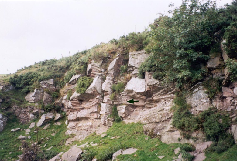 Exposure of the Quarry Hill Sandstone Formation at Quarry Hill, Rhynie. The hammer (arrowed) is 40cm long.