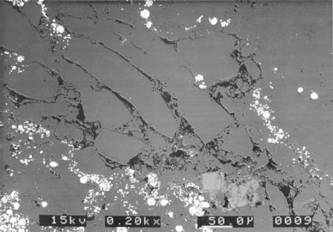 Back-scattered SEM image of a polished thin section of chert. The very dark areas are voids in the sample representing the original cell walls of a plant. The dark grey is chert that has filled the plant cells. The very light patches are 'framboids' or clusters of micron-sized crystals of pyrite (FeS2). The lighter grey fragments below right of center are probably detrital feldspar grains.