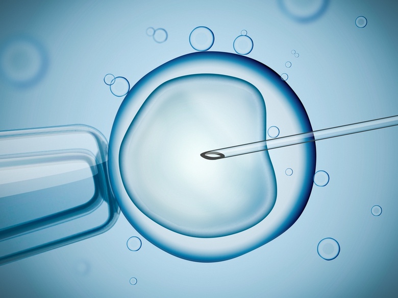 test tube embryo image