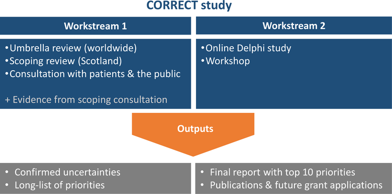 A diagram outlining the two workstreams and project outputs. More details below the diagram