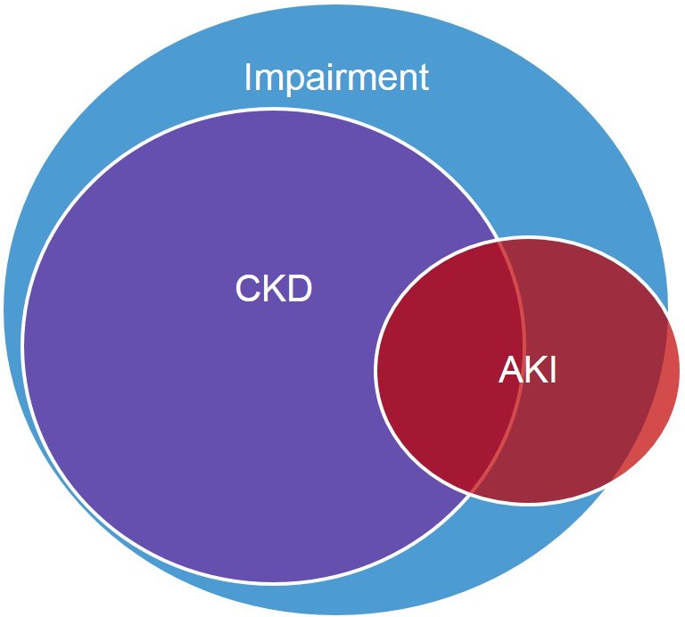 Imparment - CKD_AKI