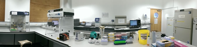 qPCR lab