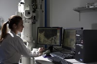 Female researcher using TEM microscope