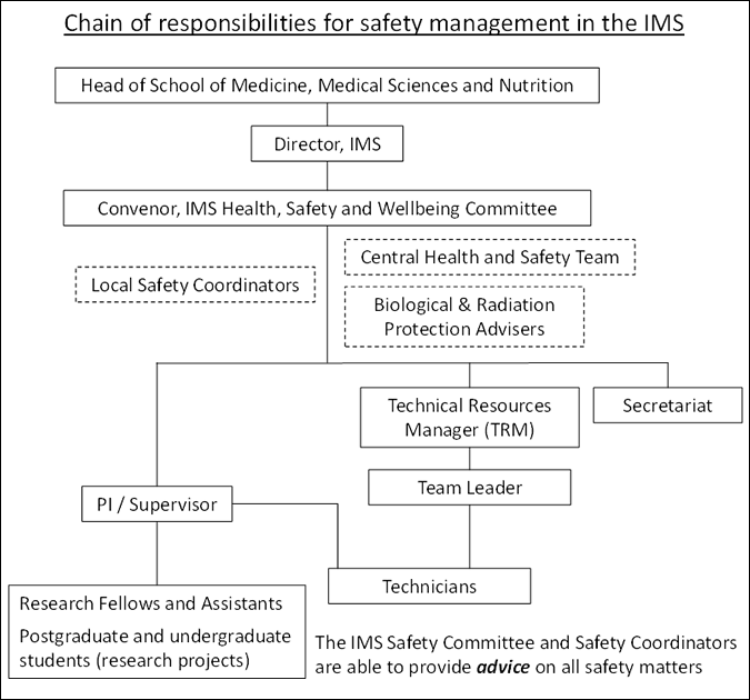 Chain of responsibilities for safety management in the IMS