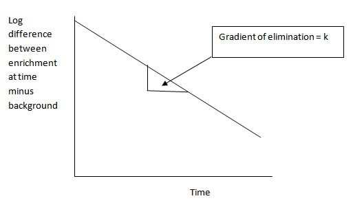 Figure 2: Sketch of a semi-log plot showing isotope enrichment falling to background levels over time. The relationship is now shown to be linear.