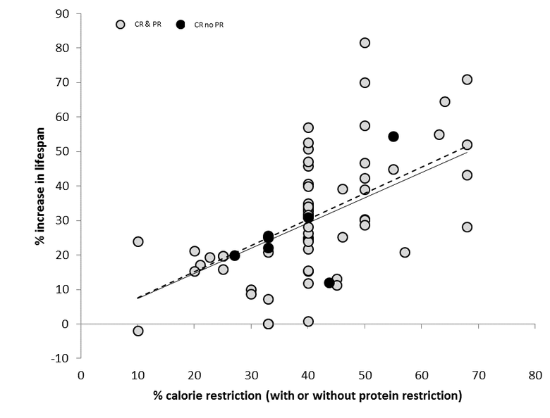 The relationship between level of calorie restriction (CR) and lifespan