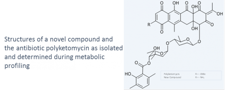 Structures of a novel compound and the antibiotic polyketomycin as isolated and determined during metabolic profiling