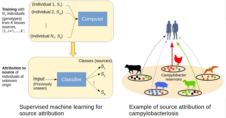 Machine learning source attribution