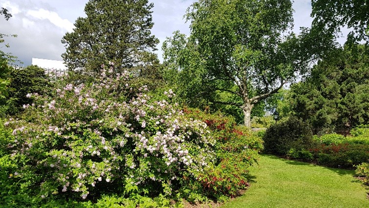 A photo of the Cruickshank Botanical gardens