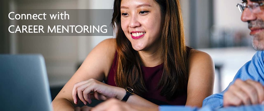 Career Mentoring Programme