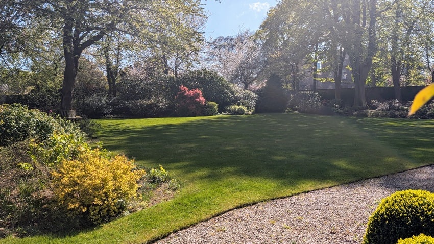 Chanonry Gardens